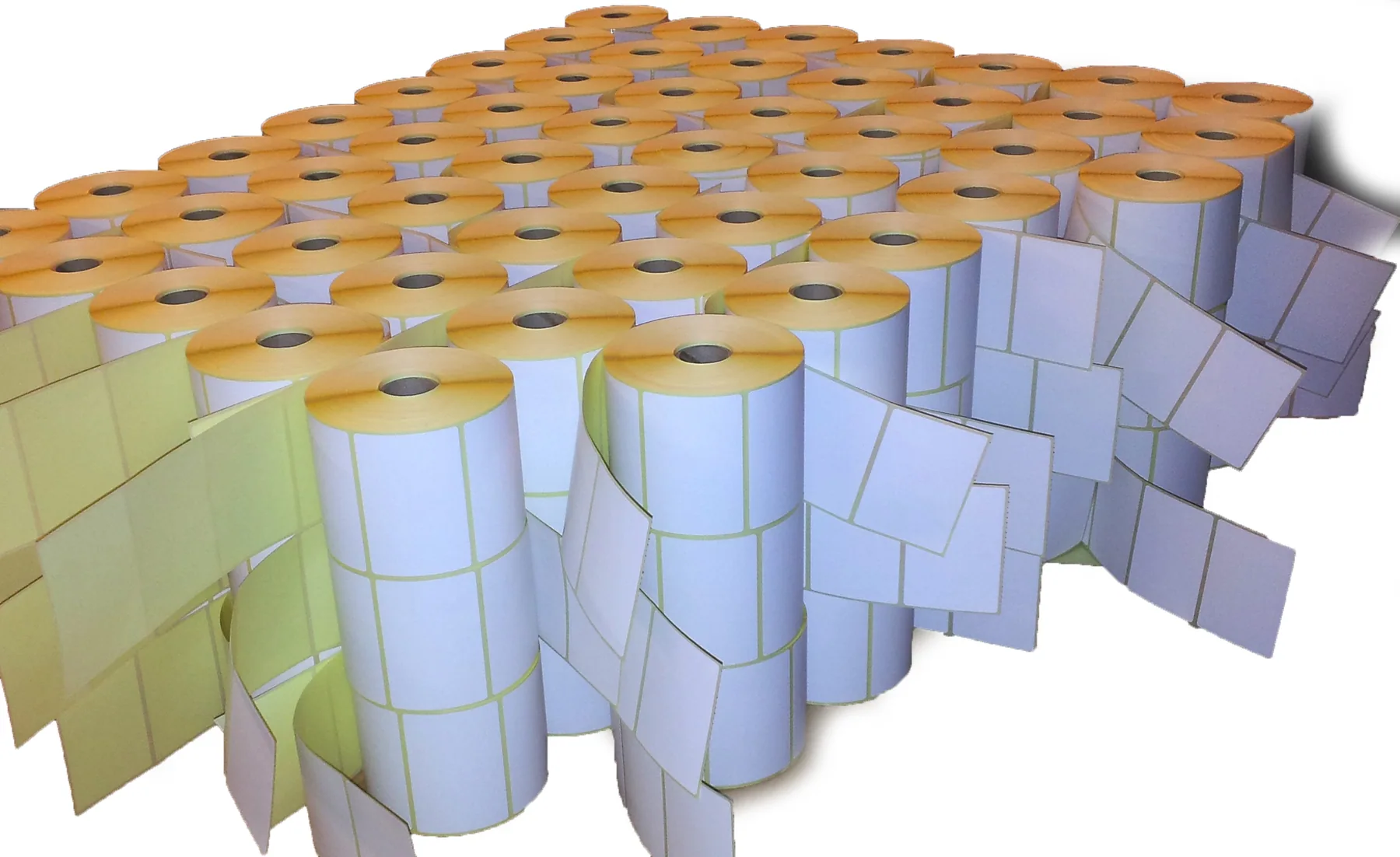 Labels for thermal transfer and direct thermal work
